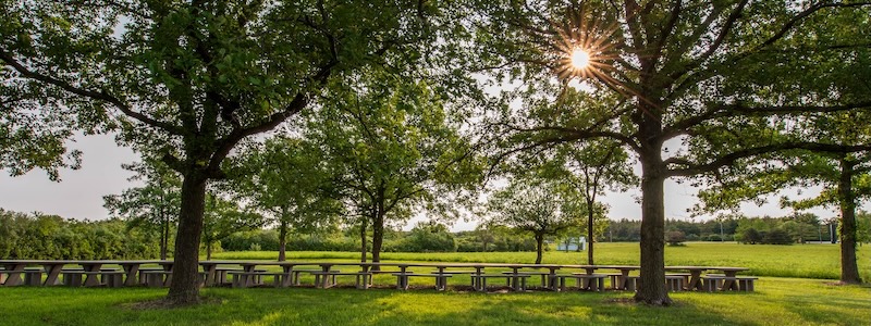 The Arboretum at GovState